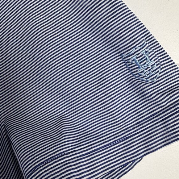 F&G Tech‎ Fairway & Greene Golf Polo Shirt Men's Large Golf Blue Striped - Picture 4 of 10